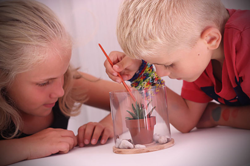 Dotifly Project Image Link