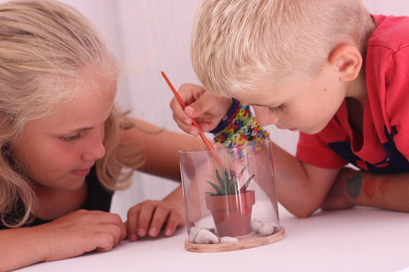Kids using terrarium image
